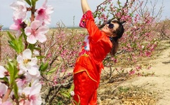 天天干天天草天天